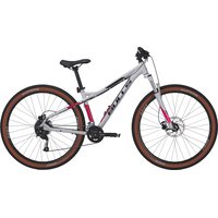 Dviratis 29" Bulls Zarena 2 18 g šv.pilkas