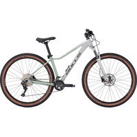 Dviratis 29" Bulls Aminga 2 22g pilkas