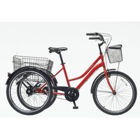Triratis Bissan Bike PORTER 24 raudonas