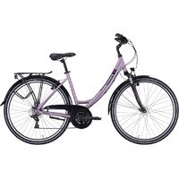 Dviratis 28" Pegasus Piazza 21g trapez violetinis