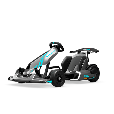 Segway GoKart Pro 2 | 43 km/h|AA.04.04.01.0004
