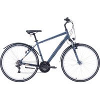 Dviratis 28" Pegasus Avanti Sport 18 vyr. 18g t.pilkas
