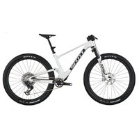 Dviratis 29 SCOTT SPARK RC WORLD CUP EVO white Scott