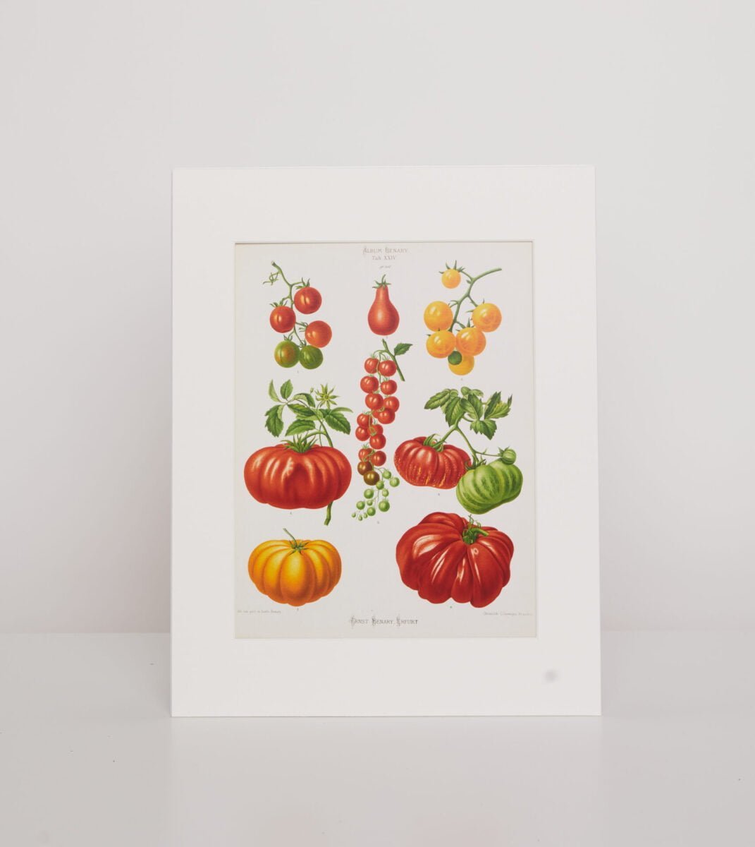 Printas "Pomidorai"