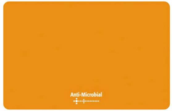 Inlet Logo Orange (PWLL018RXX0E)