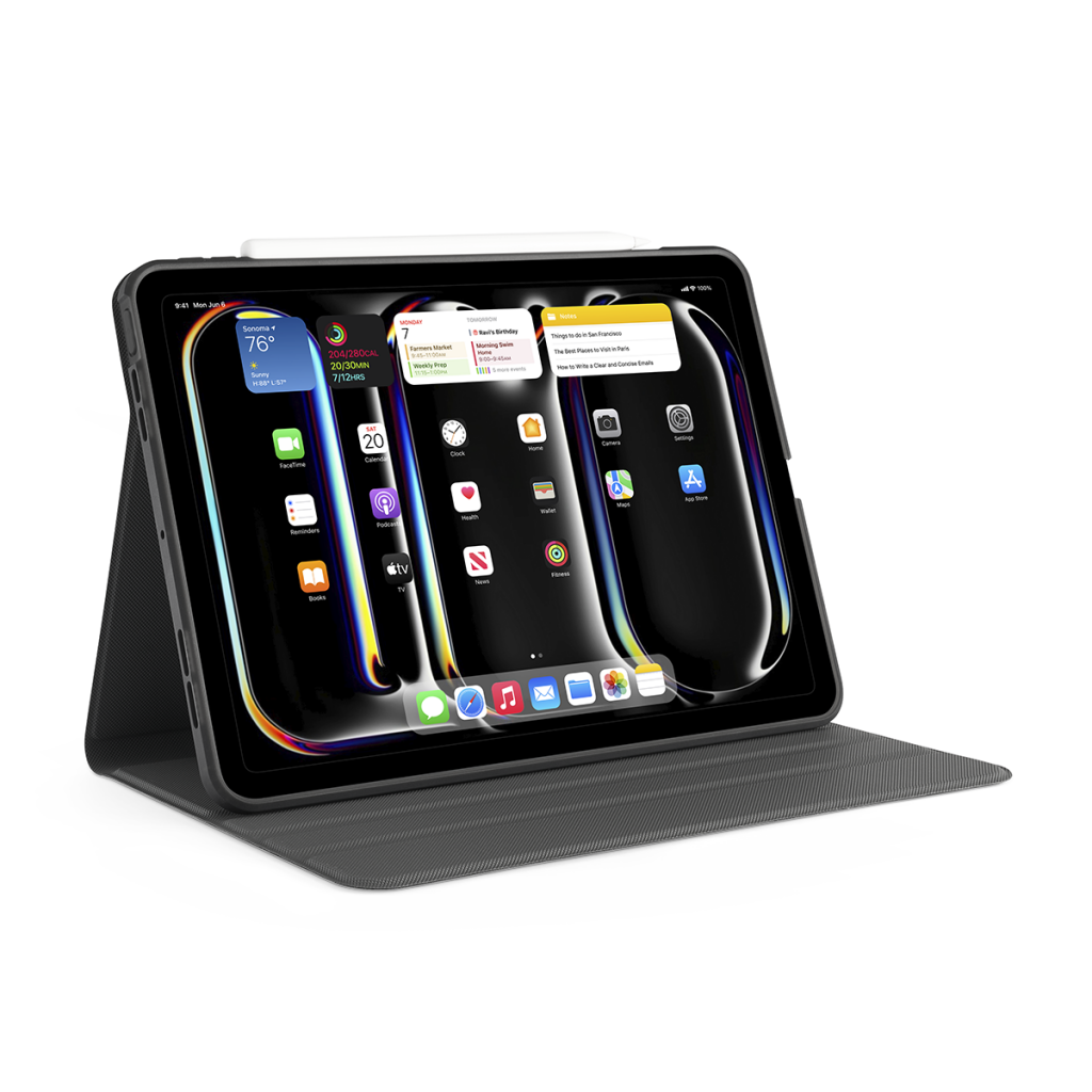 Pipetto iPad Pro 13 (2024) Rotating Folio Case - Black
