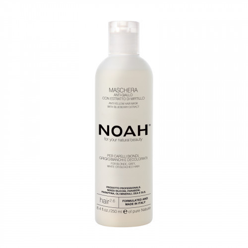 Noah 2.6 Anti-Yellow Hair Mask Geltonus tonus neutralizuojanti plaukų kaukė, 250ml