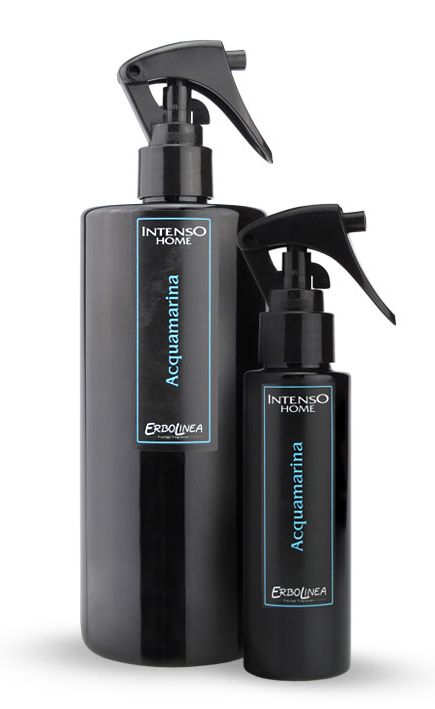 Purškiamas kvapas namams Erbolinea Intenso Aquamarina ERBINTAQUA100, 100 ml