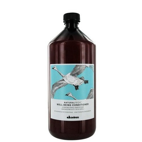 Davines Well-Being Conditioner Geros savijautos kondicionierius, 1000ml