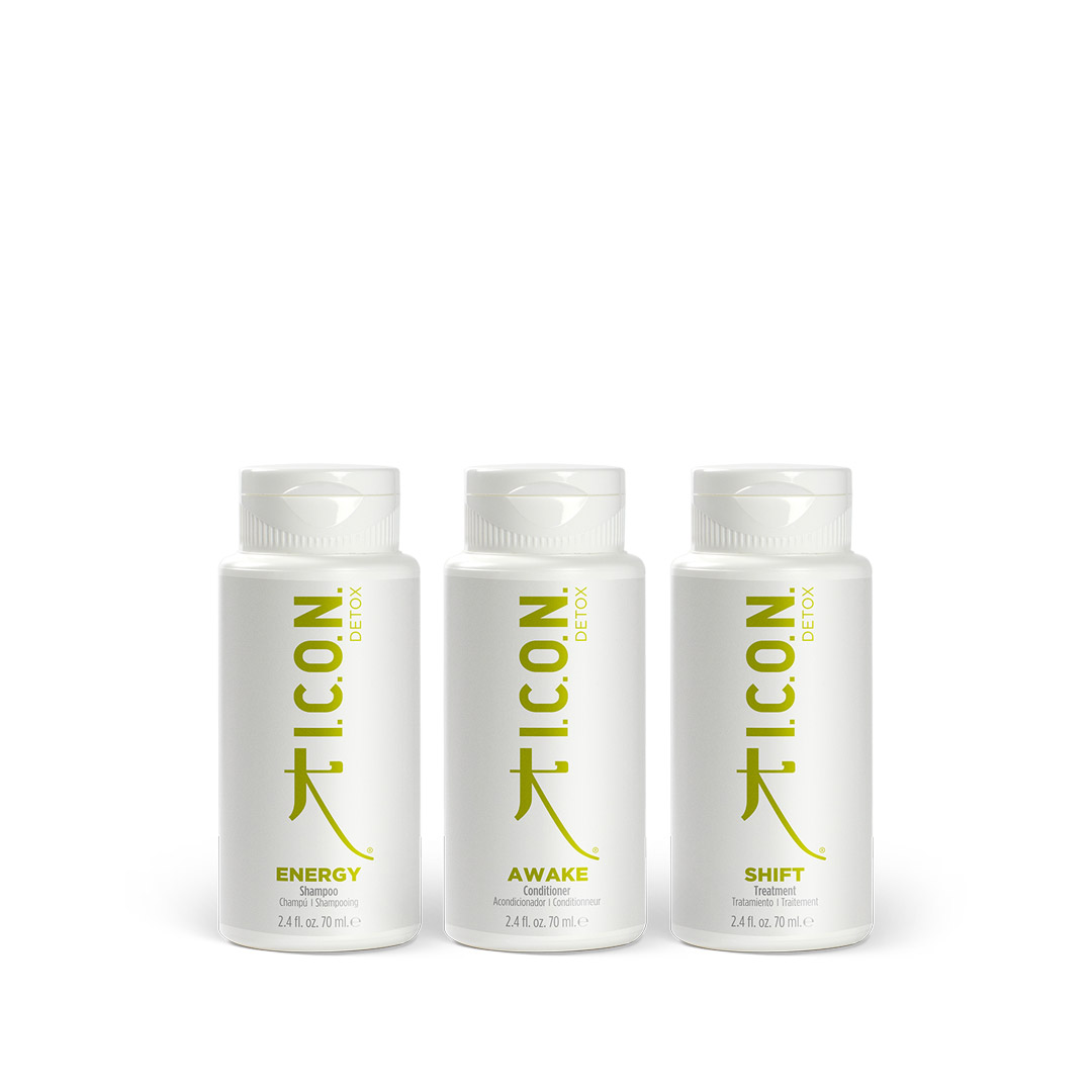 I.C.O.N. ENERGY + AWAKE + SHIFT travel