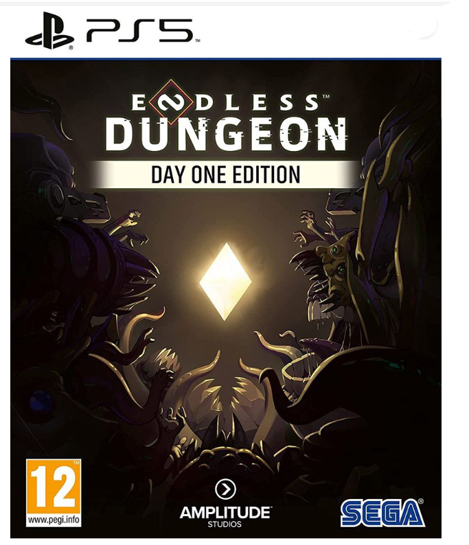 Žaidimas PS5 ENDLESS Dungeon LE
