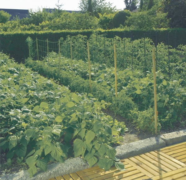 Tinklas žirniams 1,2 x 5 m SZ-120/8 120243