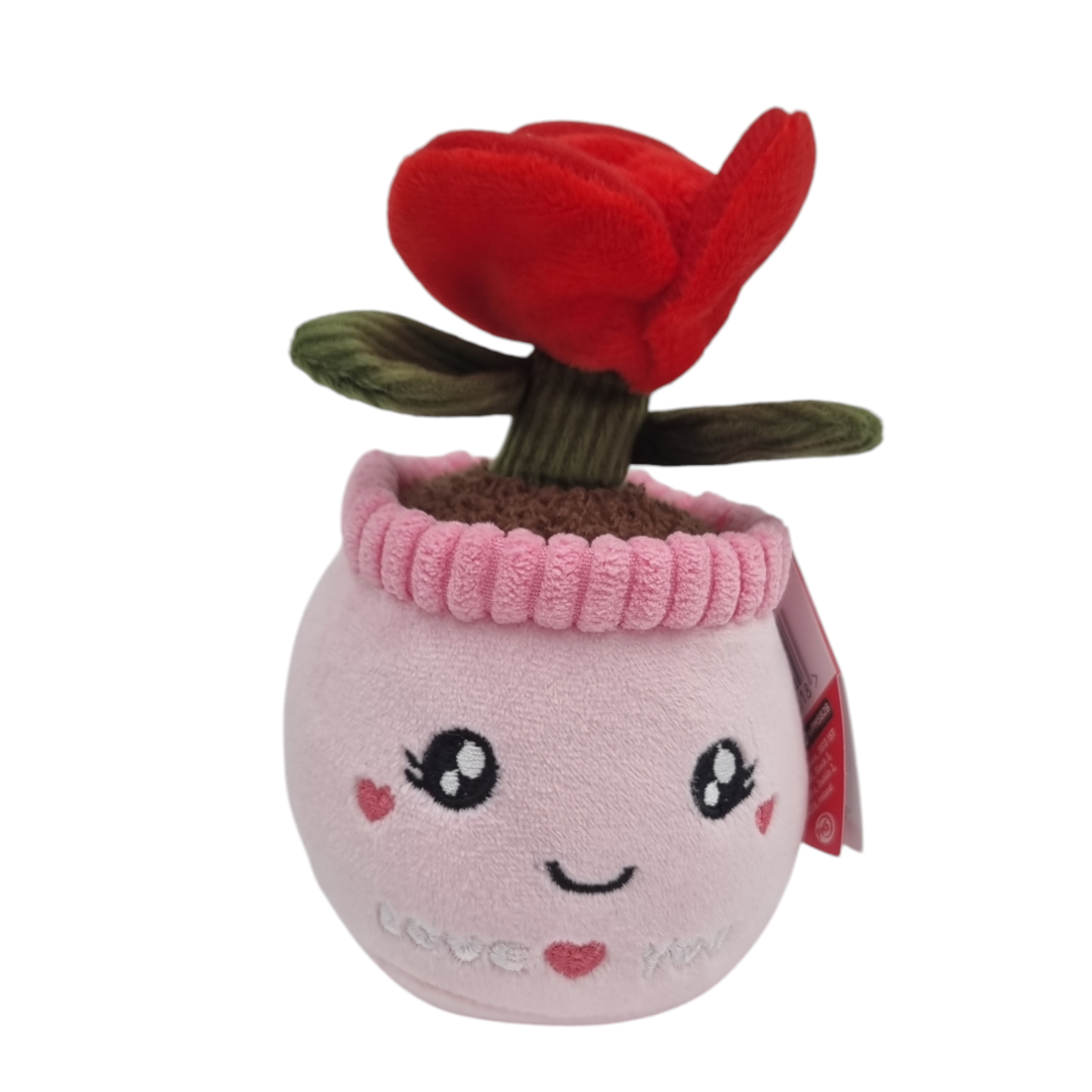 Pliušinė rožė vazone 15 cm