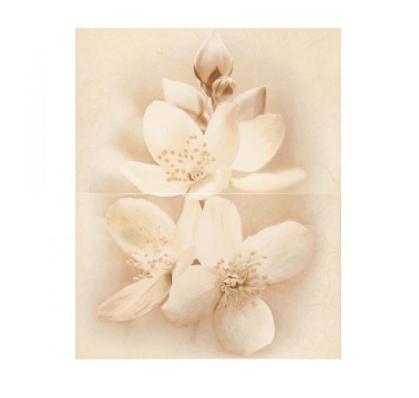 Dekoras DIANA FLOWER 40x50cm