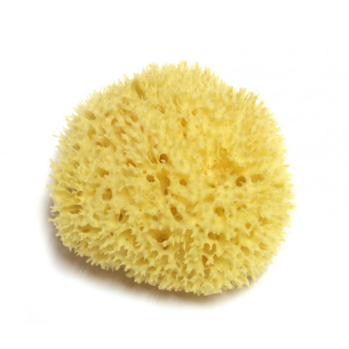 Hydrea London Honeycomb Sea Sponge Natūrali jūros kempinė, ~13 cm