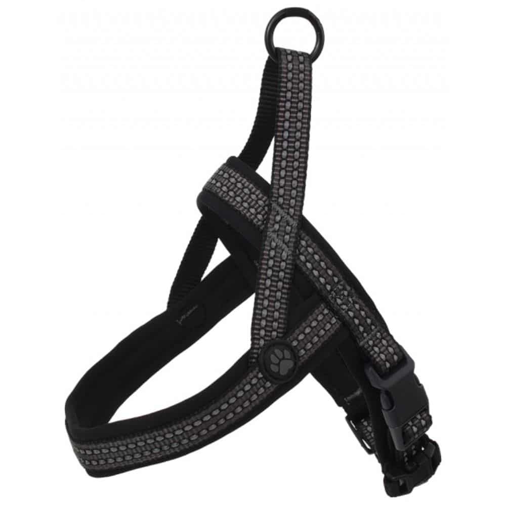 Active Dog Neoprene XL (pilka) 3,2x88-110cm neopreno petnešos šunims