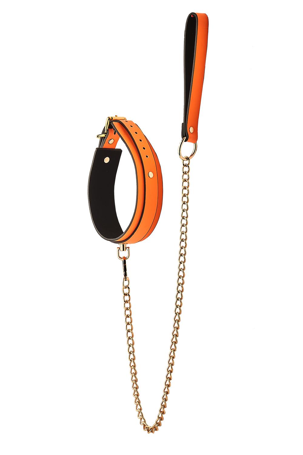 RADIANT COLLAR AND LEASH GLOW IN THE DARK ORANGE