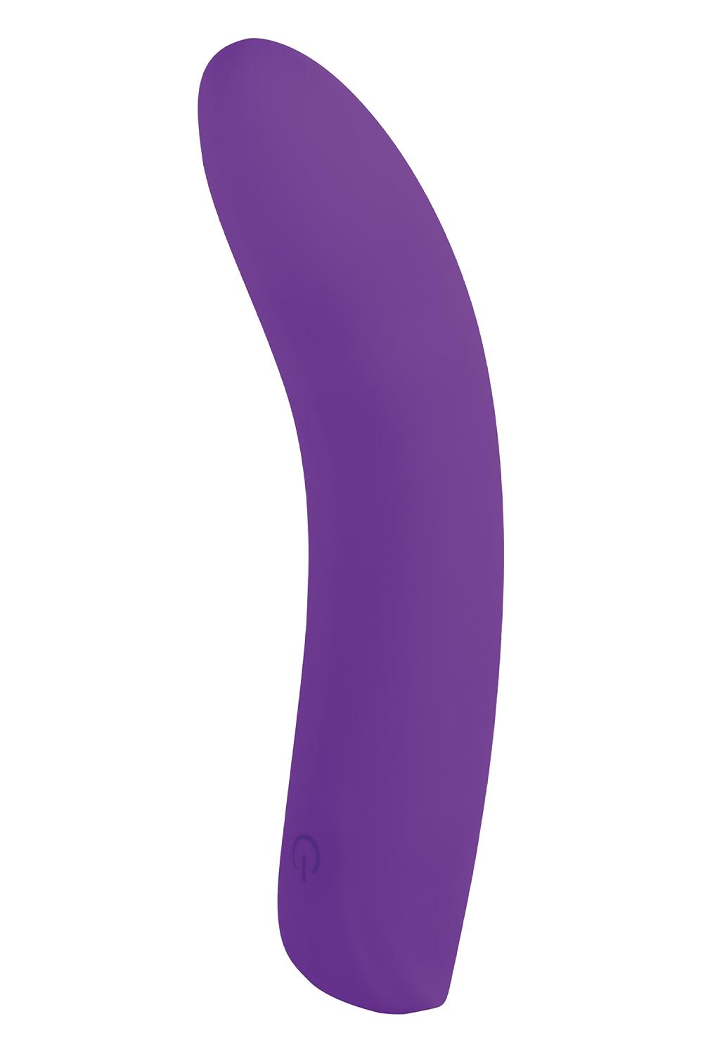 NMC 5 INCH SILICONE 10 FUNCTION VIBRATOR PURPLE