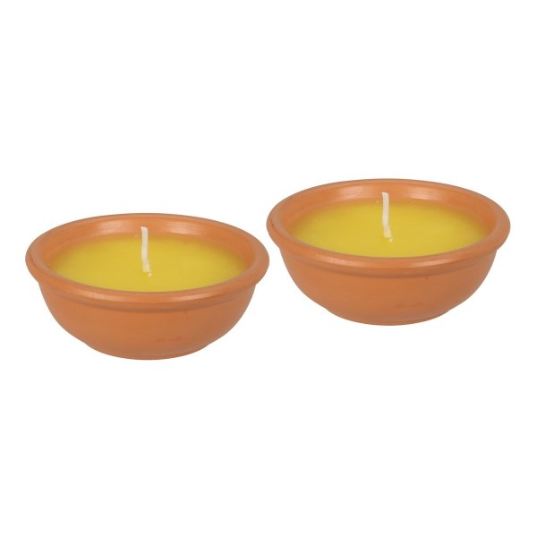 Žvakė nuo uodų Citronella, 2 x 35g