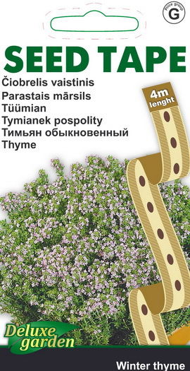 Vaistinių čiobrelių WINTER THYME sėklos juostoje, 4 m