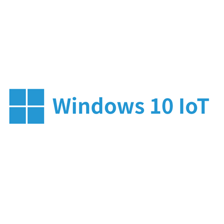 Programinė įranga ProDVX  Windows 10 IoT Enterprise 2021 LTSC Entry