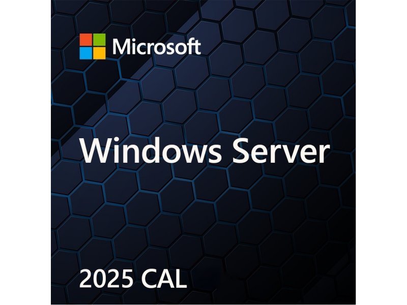 MS Windows Svr CAL 2025 PL Clt Device CAL OEM