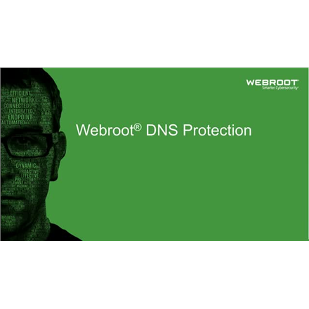 Webroot | DNS Protection with GSM Console | 1 year(s) | License quantity 1-9 user(s)|152300001A