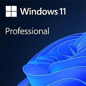 [FQC-10528] Microsoft Windows 11 PRO Programinė įranga
