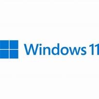 SW OEM WIN 11 HOME 64B/LV 1PK DVD KW9-00645 MS