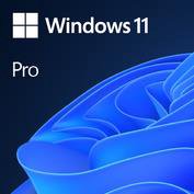 Operacinė sistema Microsoft FQC-10528 Win 11 Pro 64Bit Eng Intl 1pk DSP OEI DVD