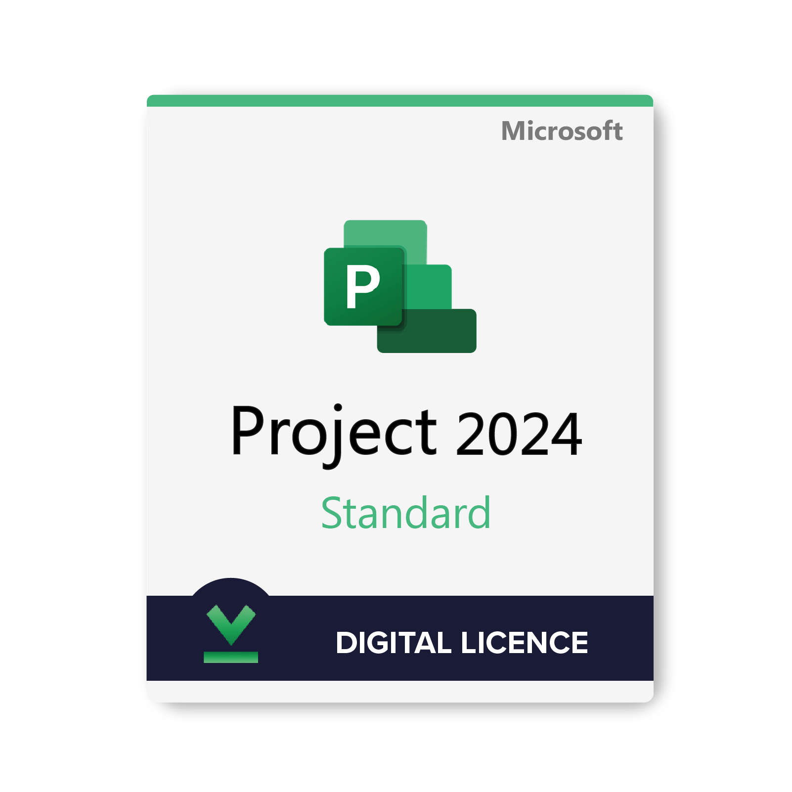 Microsoft Project Standard 2024 Digital Licence | Different Licence Options