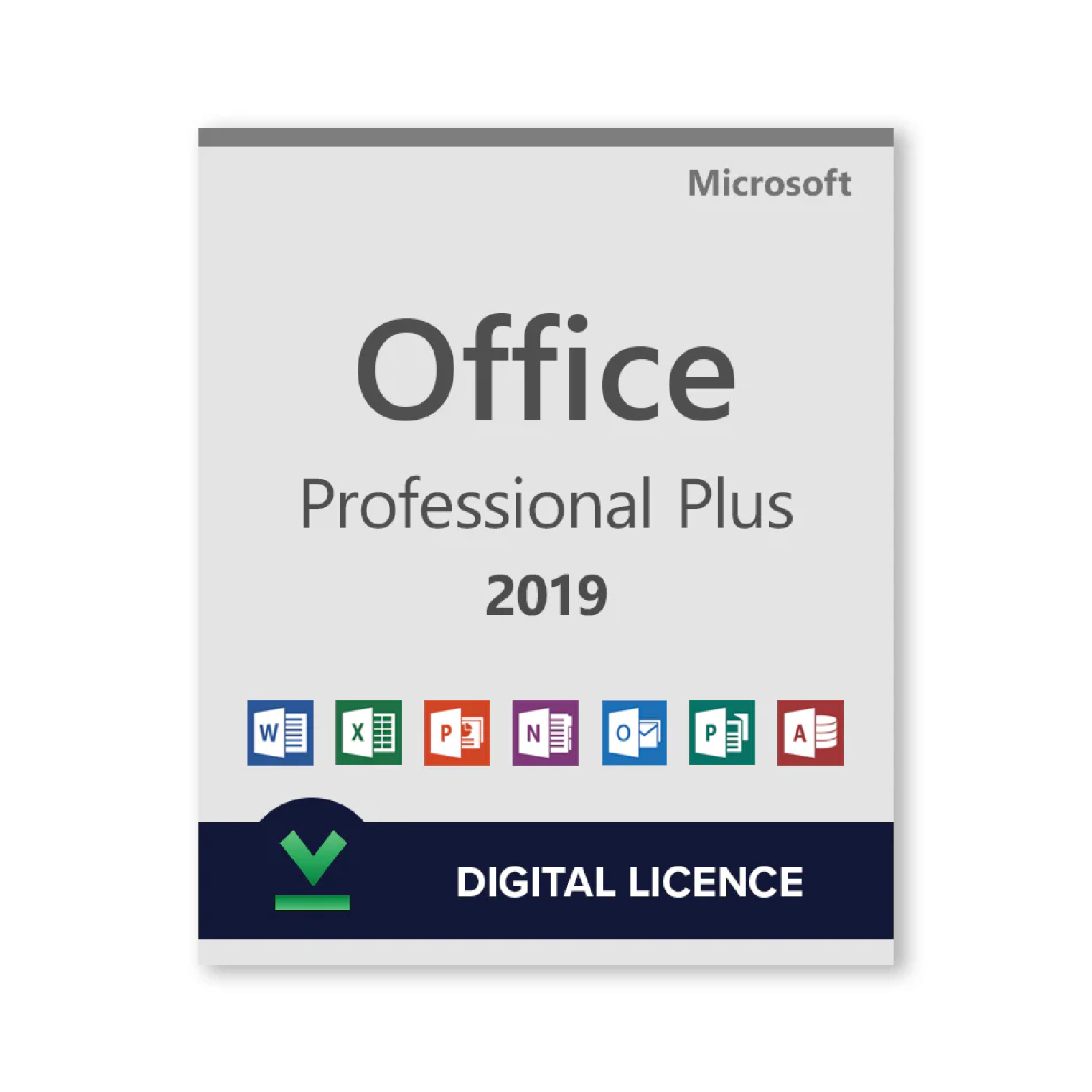 Microsoft Office 2019 Professional Plus Digital Licence | Different Licence Options