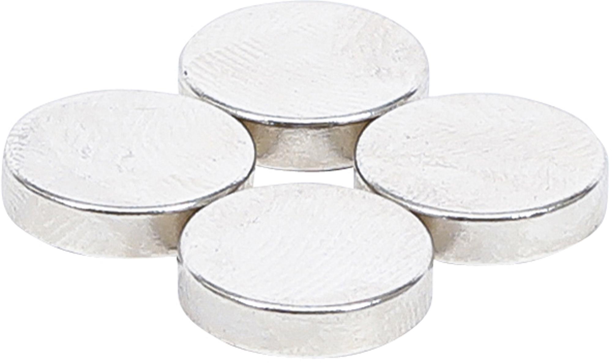 Magnetų rinkinys | ypač stiprūs | Ø 12 mm | 4 vnt. (79909)
