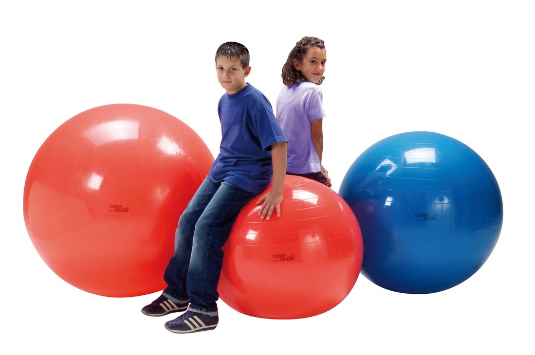 Kamuolys Physio Gymnic 120 cm