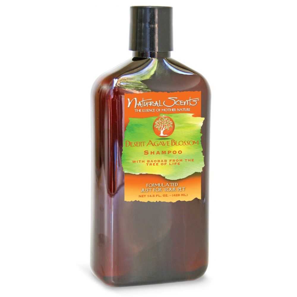 Bio-groom Desert Agave Blossom - ekologiškas Baobab baltymų šampūnas šunims ir katėms, 236ml