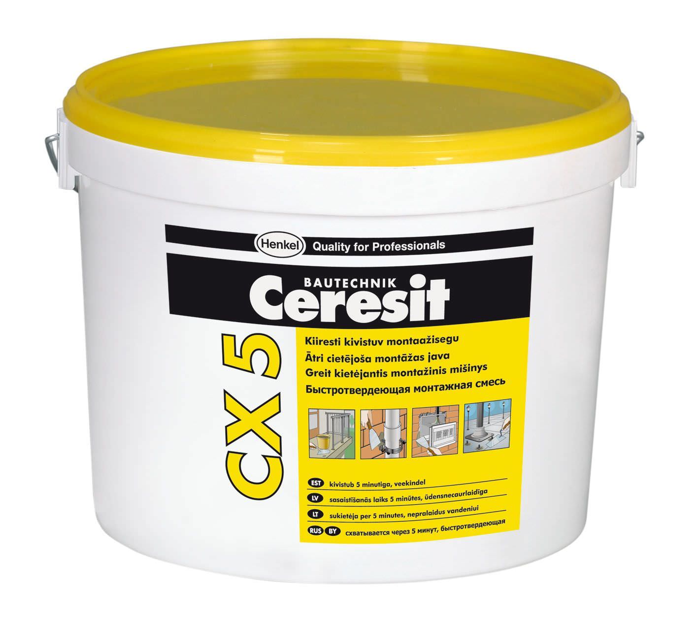 Greitai kietėjantis remontinis mišinys CERESIT CX5, 5 kg