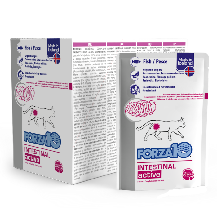 Forza10 Intestinal ActiWet Fish drėgnas maistas katėms, skirtas ūmiems žarnyno rezorbcijos sutrikimams mažinti, 100 g