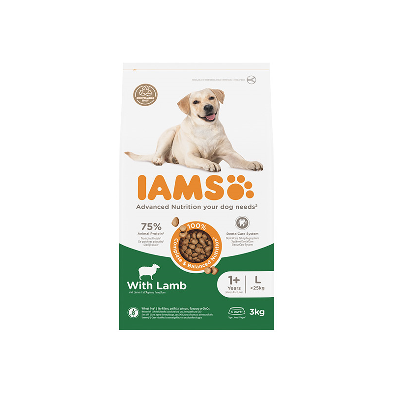 IAMS sausas maistas didelių veislių šunims su ėriena, 3 kg