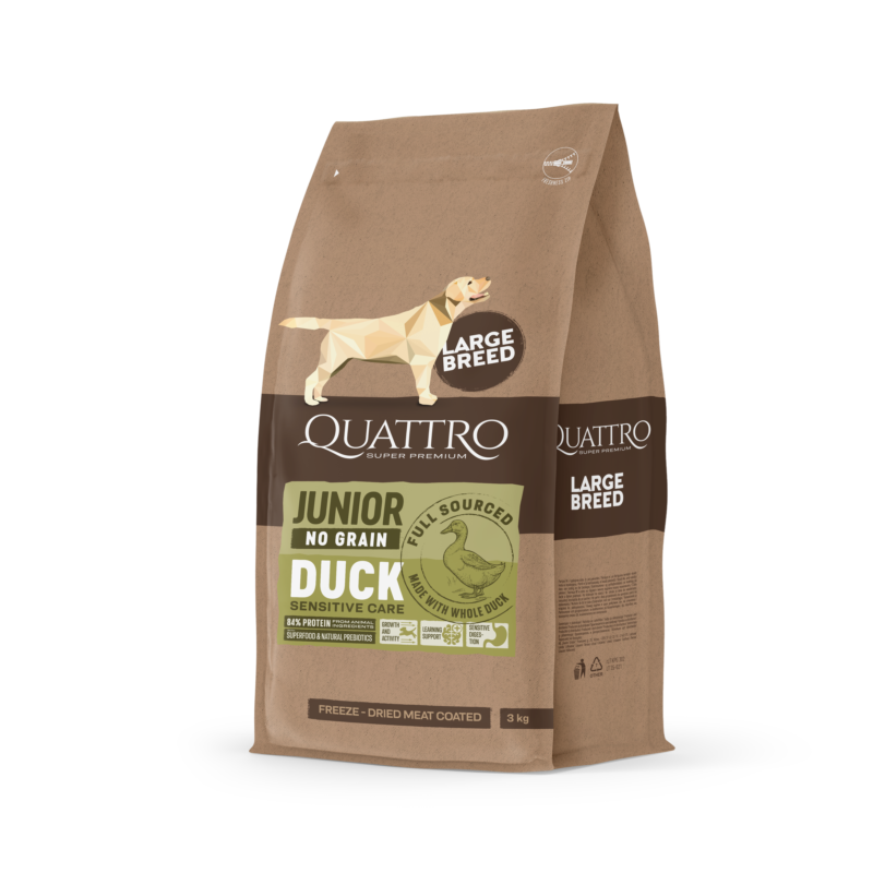 Quattro Large breed Junior sausas begrūdis maistas su antiena 3 kg