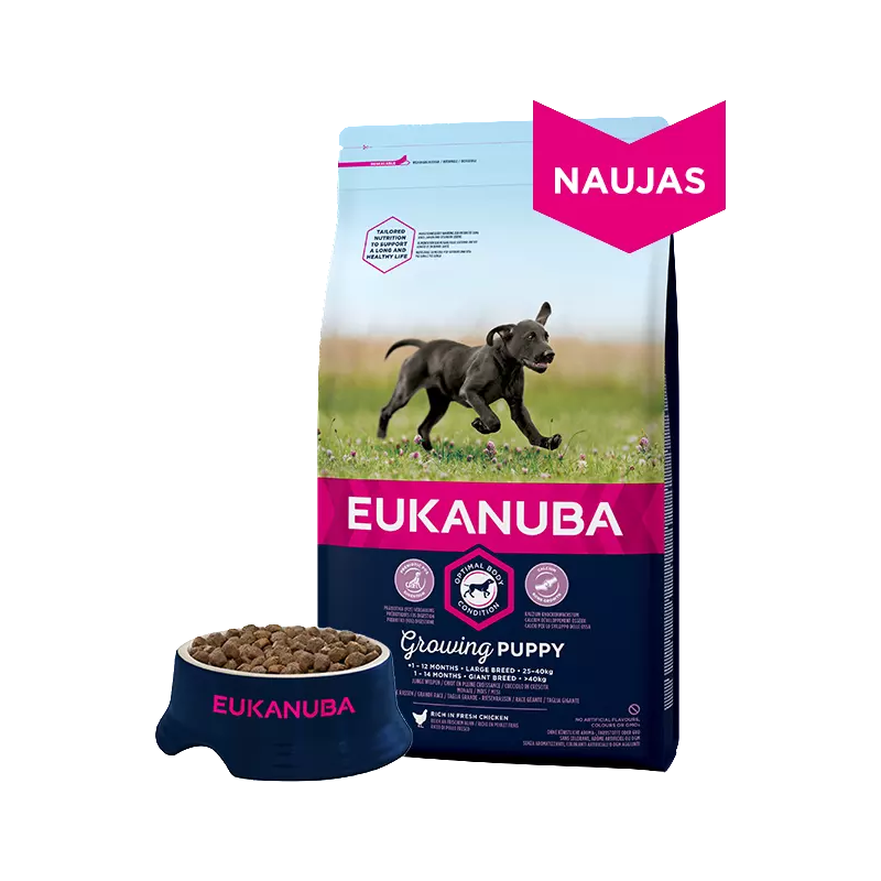 Eukanuba Large Puppy Chicken visavertis pašaras didelių veislių jauniems šuniukams su vištiena 15kg