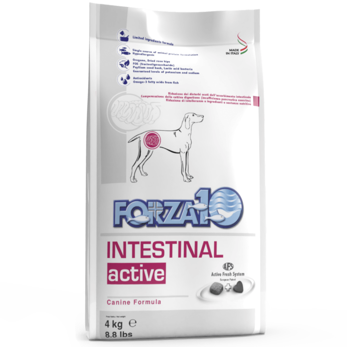 Forza10 Intestinal Active sausas maistas šunims, sergantiems virškinamojo trakto ligomis, 4 kg
