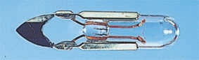 Lemputė T5.5k 30V 40mA Ø4.8mm