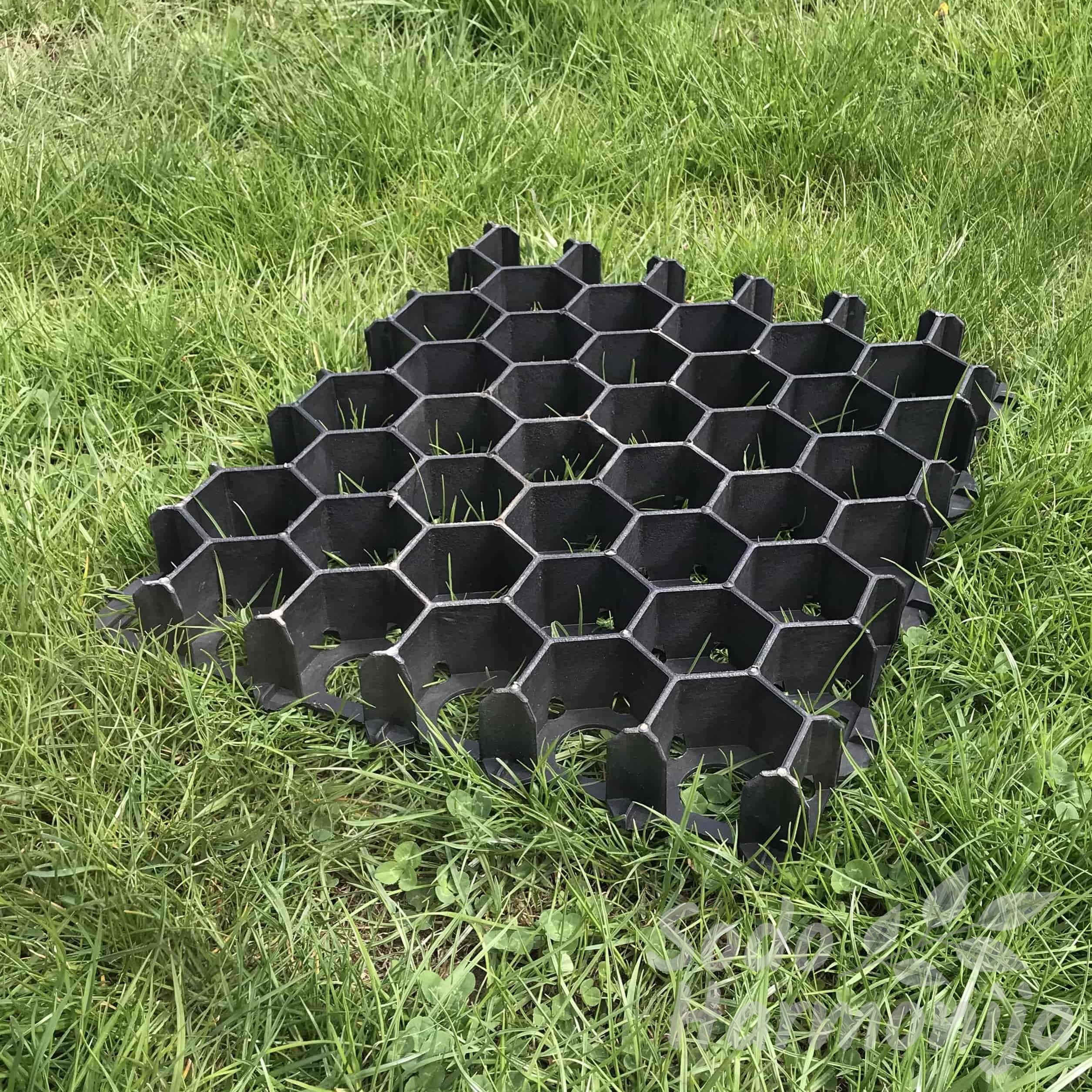 Korys 33x40