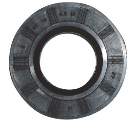 Riebokšlis 37x76x9.5/12 4036ER2004A LG