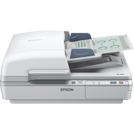 Skeneris Epson  WorkForce  DS-6500  Flatbed and ADF  Business Scanner