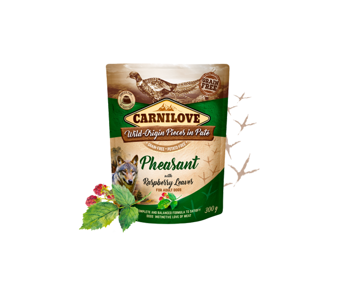 Carnilove Pate Pheasant with Raspberry Leaves begrūdis, drėgnas maistas šunims, 300 g