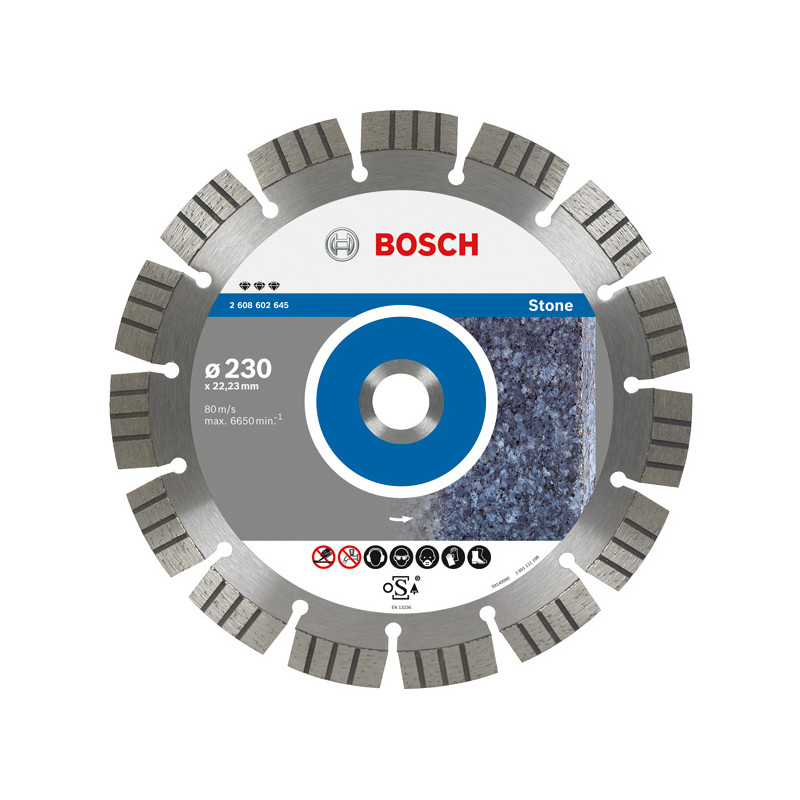 2608602647 BOSCH D.*** 300x25.4 SEG STONE diskas...