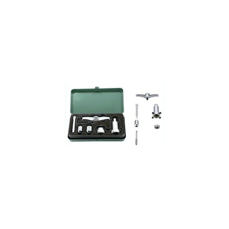 R60106S JS.KPL.KNOBS GIJOMS IR CHASERIAMS