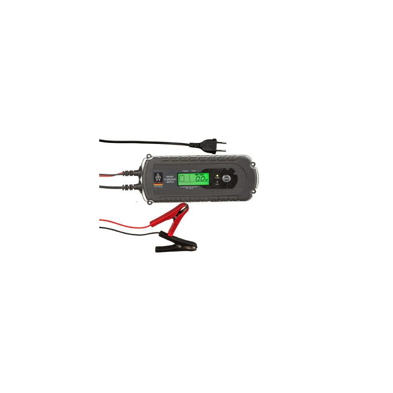 AW05-1208 AUTO WELLE ELEKTRONINIS PROSTITUTORIUS 12V 160A/h...
