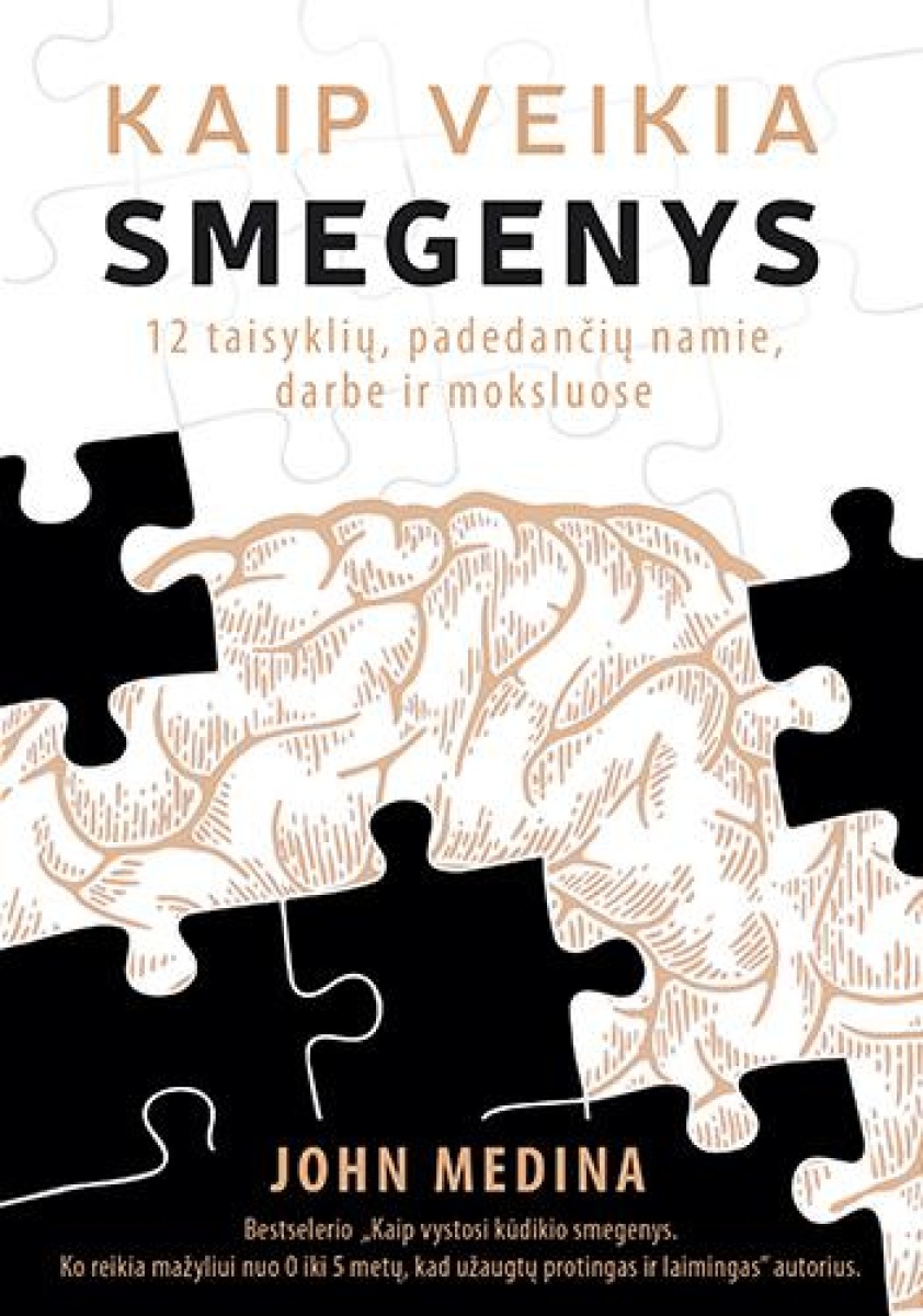 Kaip veikia smegenys. 12 taisyklių, padedančių namie, darbe ir moksluose